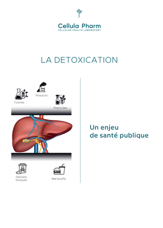 Détoxication